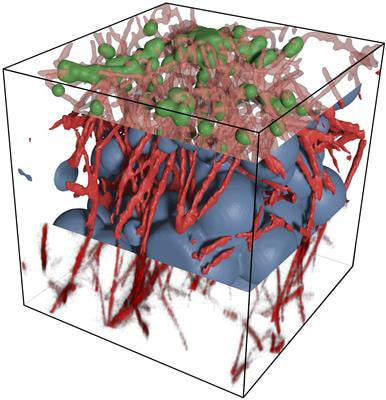 Cover image for research topic "Mechanical and Structural Phenotypes of Cells and Extracellular Matrices Govern Cell Adhesion and Migration"