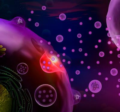 Cover image for research topic "Extracellular Vesicles in Diseases, Host-pathogen Interaction and Therapeutic Applications"