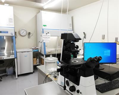 Cover image for research topic "HIV/SIV basic research update"