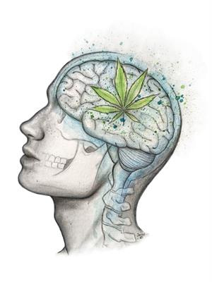 Cover image for research topic "Cannabinoids as potential treatment for neurological diseases"