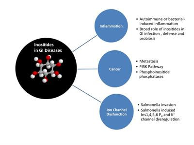 Cover image for research topic "Inositide signaling targets in gastrointestinal diseases"