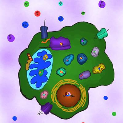 Cover image for research topic "Bioinorganic Chemistry of Metals in Cell Function and Disease"