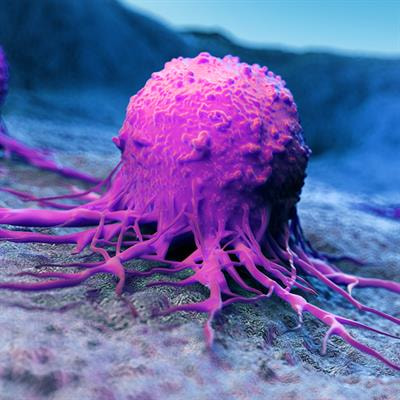 Cover image for research topic "Insights in Molecular and Cellular Oncology: 2022"