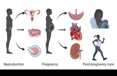 Cover image for research topic "New Technologies for Women’s Health"