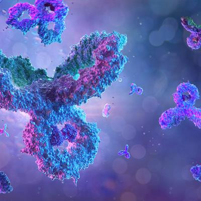 Cover image for research topic "Unveiling Immunological Mechanisms of Periodontal Diseases"
