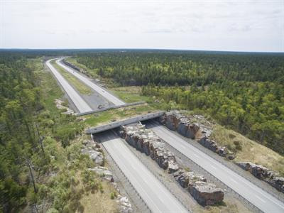 Cover image for research topic "Green Corridors and Regional Economic Integrations for Sustainable Development"