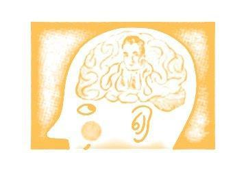 Cover image for research topic "Bayesian networks in neuroscience"
