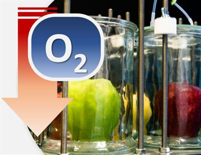 Cover image for research topic "Metabolic and Molecular Responses of Fruit and Vegetables to Hypoxic Atmospheric Conditions"
