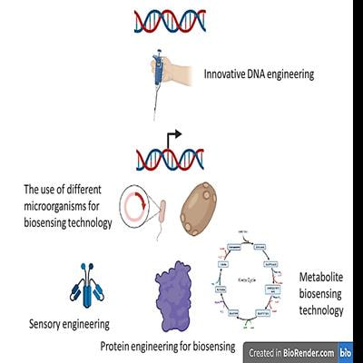 Cover image for research topic "Molecular Engineering of Sensory Mechanisms in Bacteria for Biosensing Technologies and Novel Tools for Microbial Engineering"