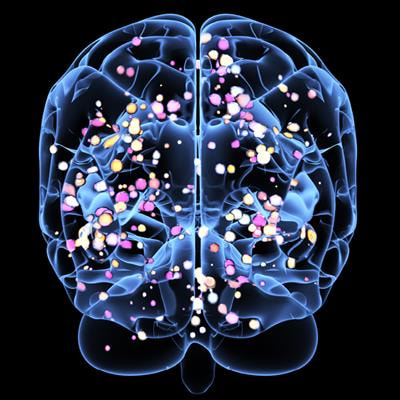 Cover image for research topic "Cognitive Neuroscience Editor's Pick 2021"