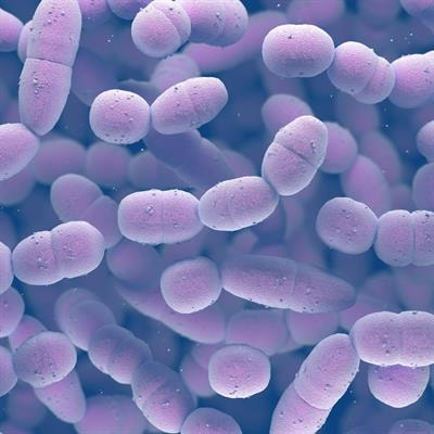 Cover image for research topic "Molecular Insights of Chronic Infections"