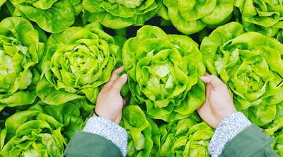 Cover image for research topic "The Many Faces of Sustainable Food"