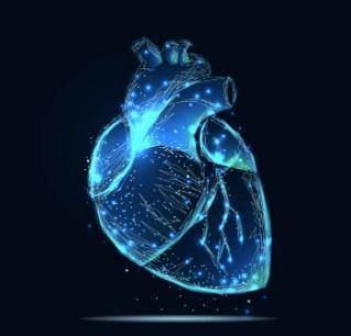Cover image for research topic "Cardiovascular Engineering"