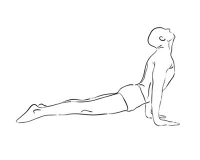 Cover image for research topic "Stretching Beyond Flexibility: Neurovascular and Tissue Mechanical Responses"