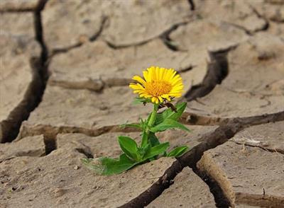 Cover image for research topic "Emotional Functioning and Post-Traumatic Outcomes in the Aftermath of a Traumatic Event"
