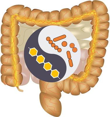 Cover image for research topic "Interactions Between Natural Polysaccharides and Gut Microbiota"