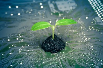 Cover image for research topic "Artificial Intelligence and Machine Learning applications in Plant Genomics and Genetics"