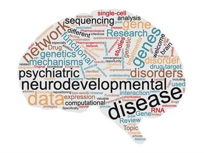 Cover image for research topic "Identifying Genetics-Based Mechanisms and Treatments for Neurodevelopmental and Psychiatric Disorders Through Data Integration"