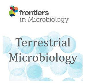 Cover image for research topic "Terrestrial Microbiology Editor’s Pick 2021"