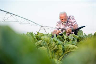 Cover image for research topic "Transdisciplinary Research for Understanding and Transforming Food Systems"