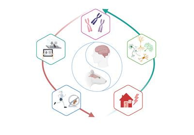 Cover image for research topic "Translational Behavioral Approaches in Animal Models of Psychiatry"