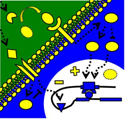 Cover image for research topic "Gene interactions in pharmacogenomics"