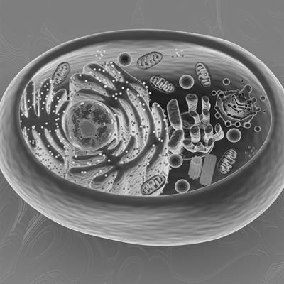 Cover image for research topic "Exosomes in Cardiovascular Diseases: Mechanism, diagnosis and therapy"