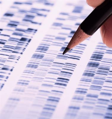 Cover image for research topic "Rising Stars in Cancer Genetics 2022"