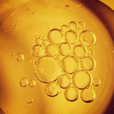 Cover image for research topic "Beyond Calcium: Vitamin D in Veterinary Disease Pathophysiology"