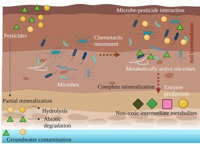 Cover image for research topic "Recent advancements in microbe-pesticide interaction: A smart-soil bioremediation approach"