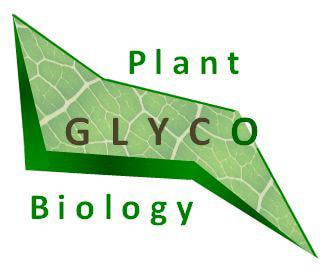 Cover image for research topic "Plant Glycobiology – a sweet world of lectins, glycoproteins, glycolipids and glycans"