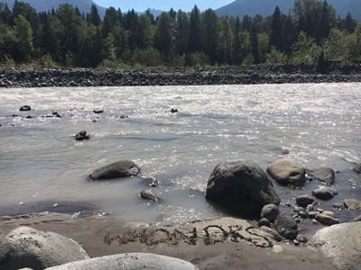 Cover image for research topic "Crowdsourced Understanding of Global River Organic Matter Composition through the Lens of Ecological Theory"
