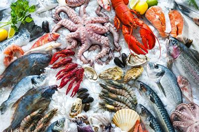 Cover image for research topic "Disease Control and Sustainable Aquatic Food Production"