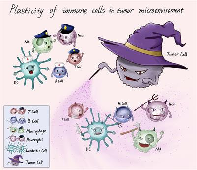 Cover image for research topic "Plasticity of Immune Cells in Tumor Microenvironment"