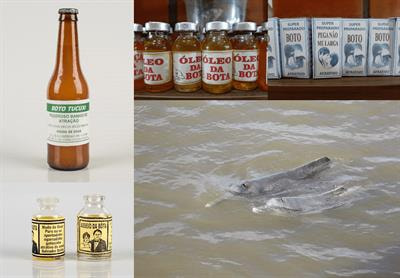 Cover image for research topic "Worldwide Survey on the Trade of Aquatic Wildmeat"