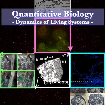 Cover image for research topic "Quantitative Biology: Dynamics of living systems"