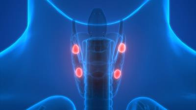 Cover image for research topic "Parathyroid Atypical Adenomas and Carcinoma: An Update on Clinical Management"