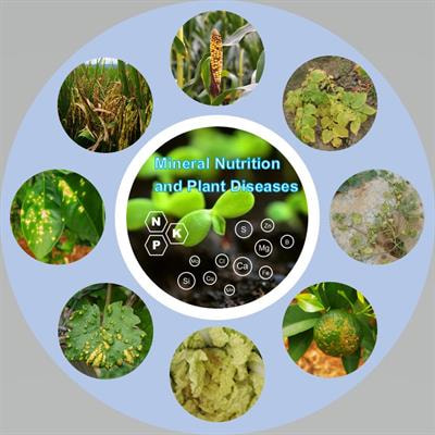 Cover image for research topic "Mineral Nutrition and Plant Diseases"