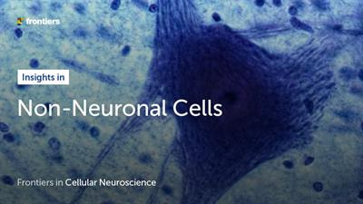 Cover image for research topic "Insights in Non-Neuronal Cells: 2021"