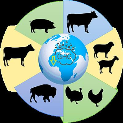 Cover image for research topic "Reducing the Environmental Footprint of Livestock Through Genomic Selection"