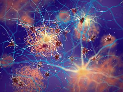 Cover image for research topic "The Many Faces of Brain Aging"