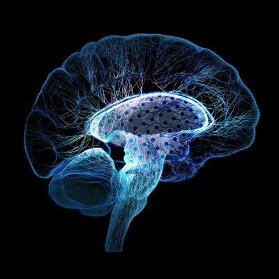 Cover image for research topic "Interoception and the Autonomic Nervous System: Investigating Affect, Decision-Making, and Mental Health"