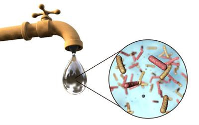 Cover image for research topic "Reducing Drinking Water Microbial Risks: Towards Bridging the Gap between Evidence and Action"