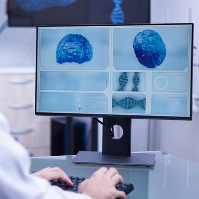Cover image for research topic "Insights in Computational Neuroscience"