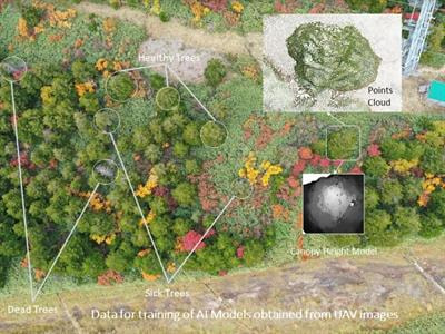Cover image for research topic "AI Processing of UAV Acquired Images for Pattern Monitoring in Natural and Urban Environments"