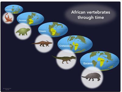 Cover image for research topic "African Vertebrates Through Times"