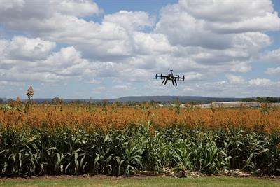 Cover image for research topic "AI, Sensors and Robotics in Plant Phenotyping and Precision Agriculture"