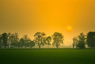 Cover image for research topic "Atmospheric Aerosol Particle Formation and Growth"