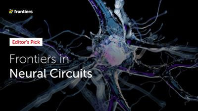 Cover image for research topic "Frontiers in Neural Circuits - Editors' Pick 2021"
