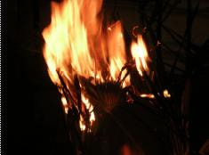Cover image for research topic "Understanding the flammability of our planet: the present day to the ancient past"